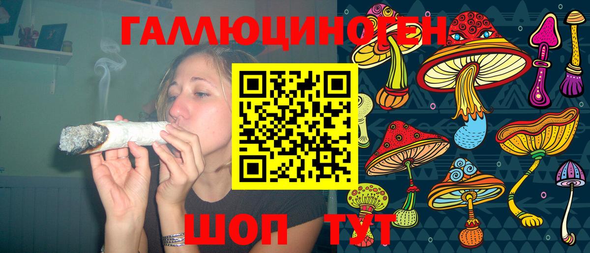 Псилоцибиновые грибы Psilocybine cubensis Челябинск
