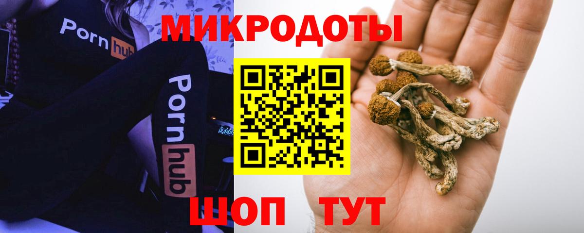 купить   Галлюциногенные грибы Magic Shrooms  Вход с VPN  Челябинск 